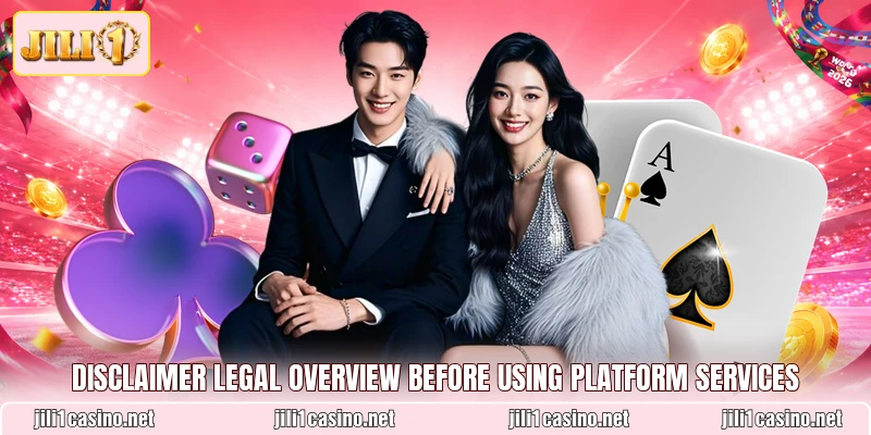 Disclaimer legal overview before using platform services
