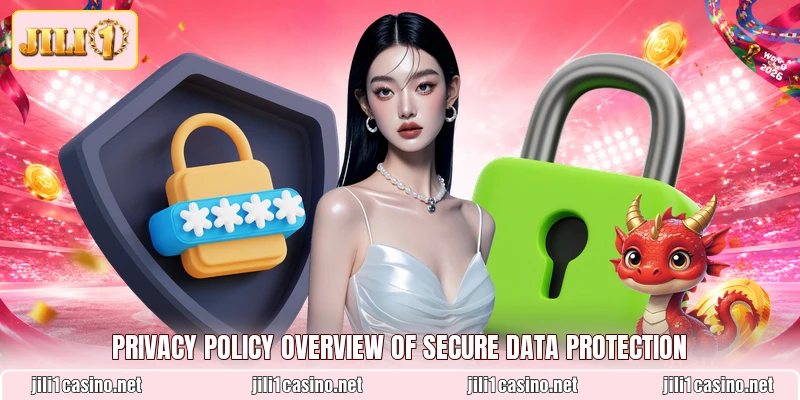 Privacy Policy overview of secure data protection